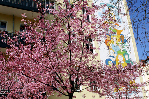 die bunt bemalte Fassade des Panke-Hauses mit Kirschblüten im Vordergrund 